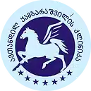 შპს ავთანდილ ყამბარაშვილის კლინიკა